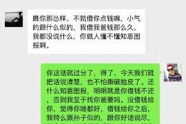 嘉峪关为什么选择专业追讨公司来处理您的债务纠纷？